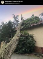Sturmschaden Sturmschäden Gefahrbaumfällung Schadenbeseitigung Bayern - Mömbris Vorschau