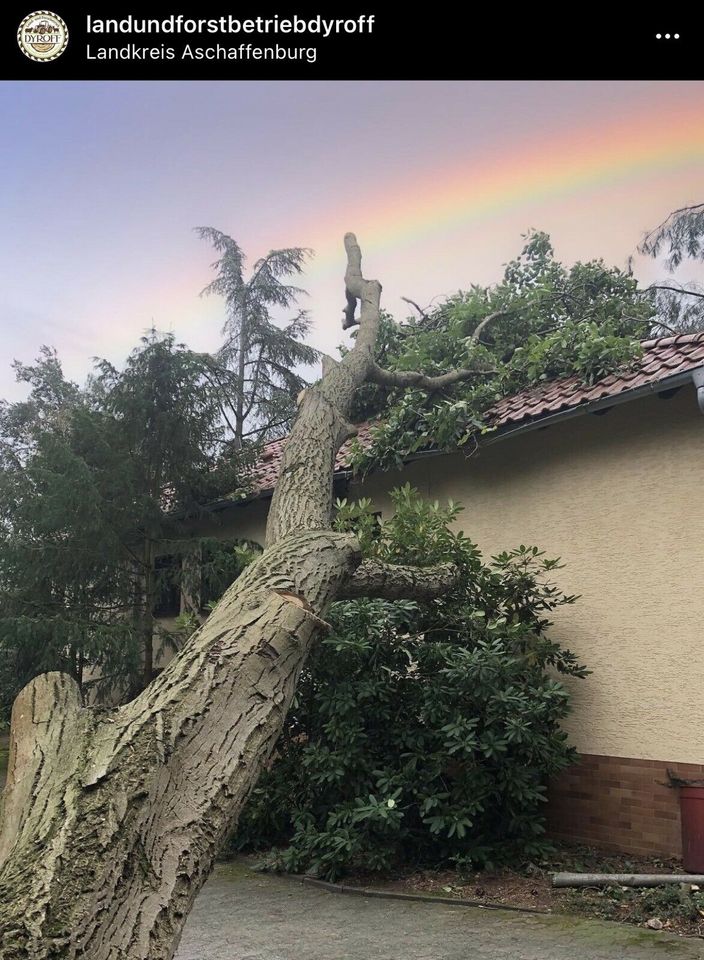 Sturmschaden Sturmschäden Gefahrbaumfällung Schadenbeseitigung in Mömbris