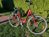 Fahrrad Pegasus guter Zustand Parchim - Landkreis - Plau am See Vorschau