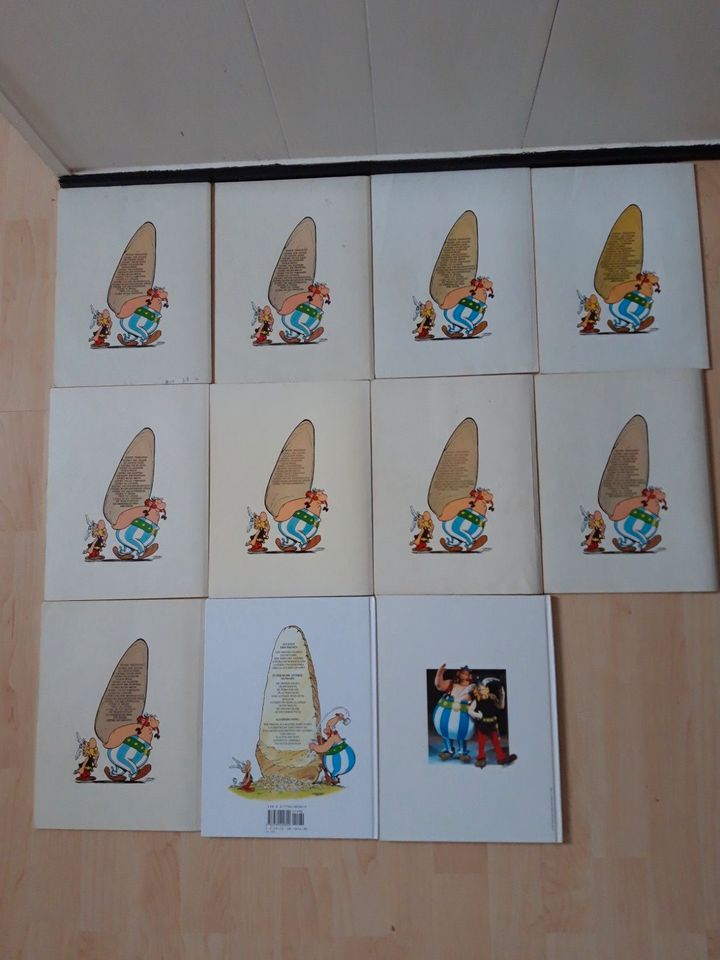 Asterix Comics *** vintage 1968-1975 und 1996 *** 11 Bände in Birstein