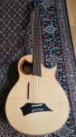 Warwick Alien Lakewood Bass Made in Germany Bayern - Zirndorf Vorschau