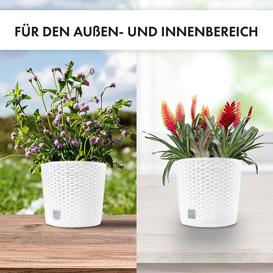 Blumentopf Pflanztopf Rattan-optik weiß 30 cm in Niedersachsen -  Cloppenburg | eBay Kleinanzeigen ist jetzt Kleinanzeigen