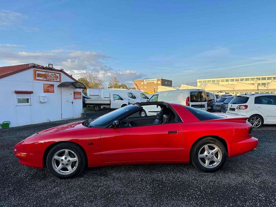 Pontiac Firebird Coupe    3,8 Liter  196 PS  "Liebhaber" in Worms