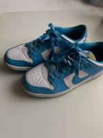 Nike Dunk hellblau Nordrhein-Westfalen - Hiddenhausen Vorschau