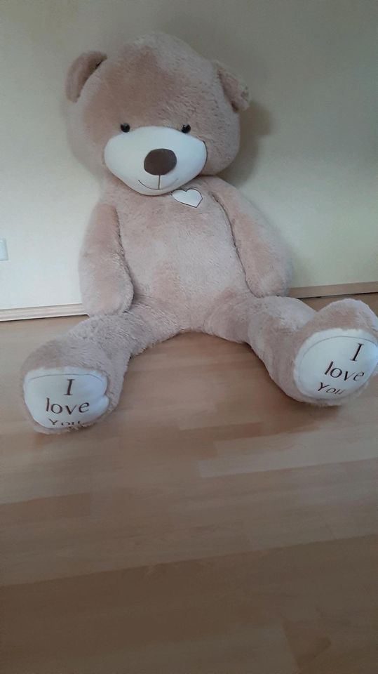 Weihnachtsgeschenkidee lebensgroßer Teddy sucht neues Zuhause in Langwedel