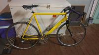 Rennrad 28 Müsing Gabel Ultegra Shimano 600 105 Selle Italia Nordrhein-Westfalen - Rahden Vorschau