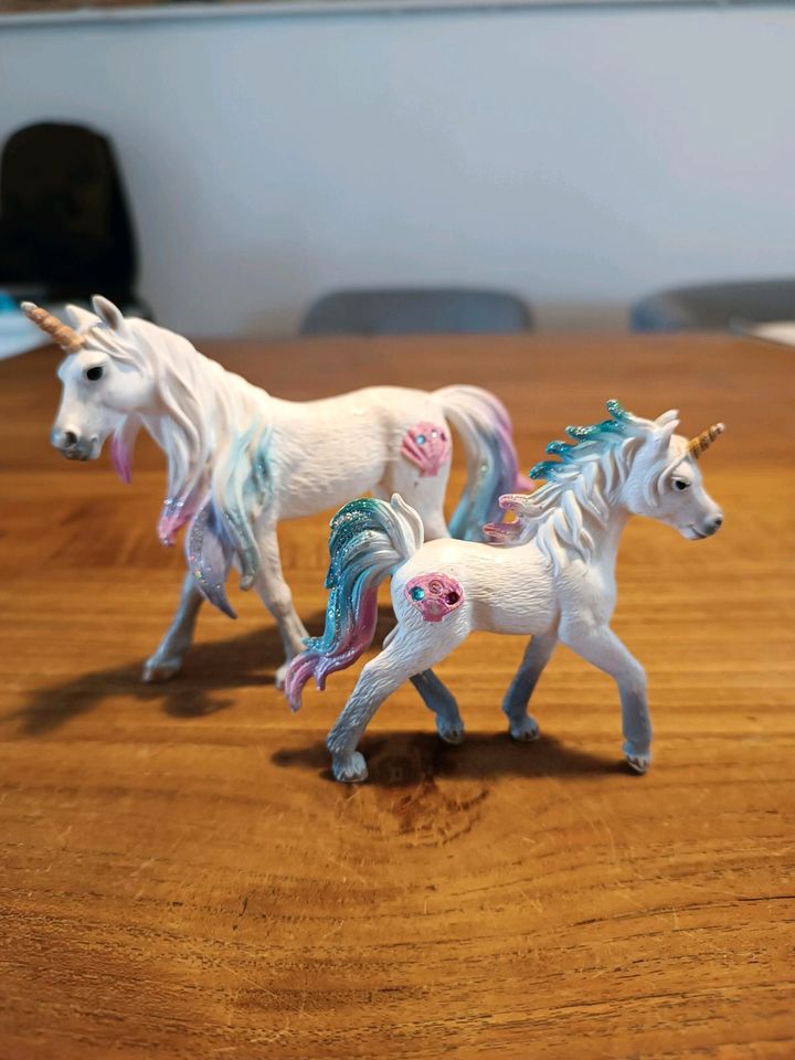 Schleich Bayala 70570 Meereseinhorn Einhorn Stute 70572 Fohlen in Hohenthurm