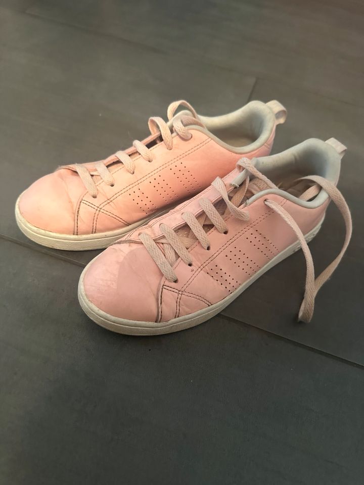 Adidas sneaker lachs hotsell