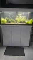 Aquarium JUWEL Rio 180 komplett mit Unterschrank Altona - Hamburg Iserbrook Vorschau