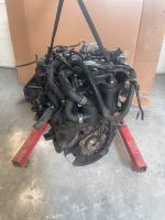 Ford 1,8 TDCI Motor KKDA Nordrhein-Westfalen - Elsdorf Vorschau