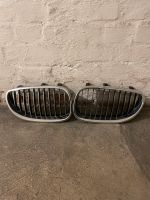 BMW E60 / E61 Originale Chrome Kühlergrill / Nieren Bayern - Ansbach Vorschau