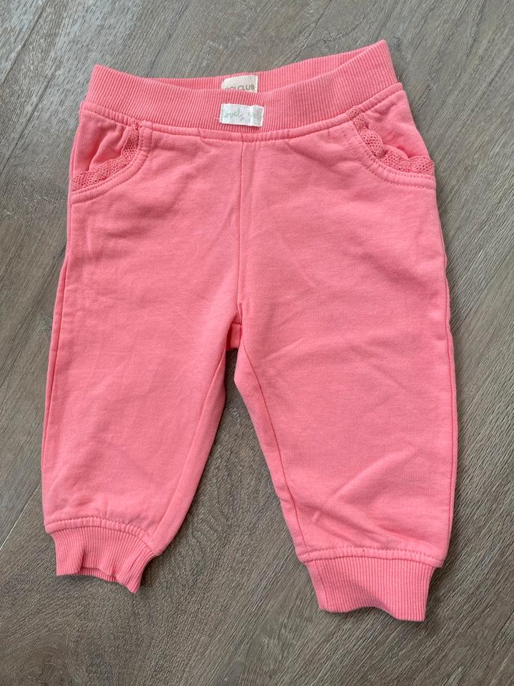 Gr.68⭐️Babykleidung Sweatjacke Jogginghose Sweatkombi Mädchen in Oberlungwitz