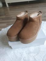 Ugg Schuhe in Größe  40 Nordrhein-Westfalen - Iserlohn Vorschau