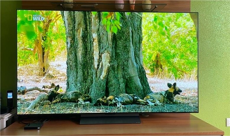 LG OLED evo 65 C39LC in Freystadt