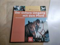 Der sichere Umgang mit dem Pferd     Freizeit Reiten   BLV Verlag Essen - Essen-Ruhrhalbinsel Vorschau