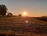 Suche Acker, Ackerland, Pachtflächen Bayern - Baunach Vorschau