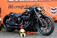 Harley/SOFTAIL/FXDR/114/KLAPPE/260/AIR/HEAVY BREATHER/DREAM BIKES Hessen - Biedenkopf Vorschau