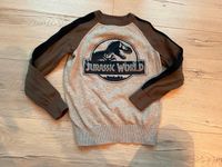 Pullover von Jurassic World Dresden - Innere Altstadt Vorschau