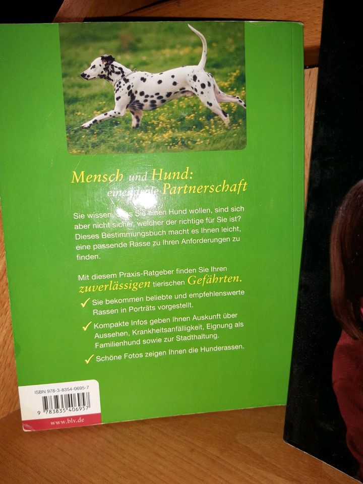 Hundebuch Traumhund Rassen Haltung Pflege Familie in Nienburg (Weser)