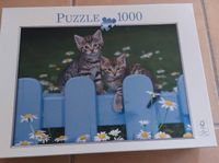 Katzen Puzzle 1000 Teile Niedersachsen - Reppenstedt Vorschau