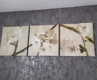 3 Teilig BILD LEINWAND 57 x 57 cm Kirschblüte Blüte Zweige IKEA Baden-Württemberg - Crailsheim Vorschau