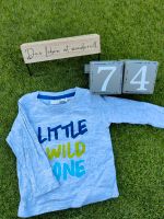 Longsleev, grau, blau, littlte wild one, 74 Rheinland-Pfalz - Schornsheim Vorschau