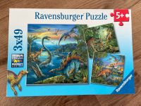 Puzzle (Dinosaurier) Bayern - Burgau Vorschau