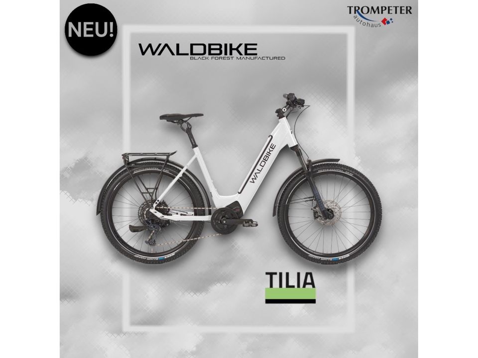E-Bike/ Waldbike E-CITY / E-TREKKING TILIA/ owl white in Lünen