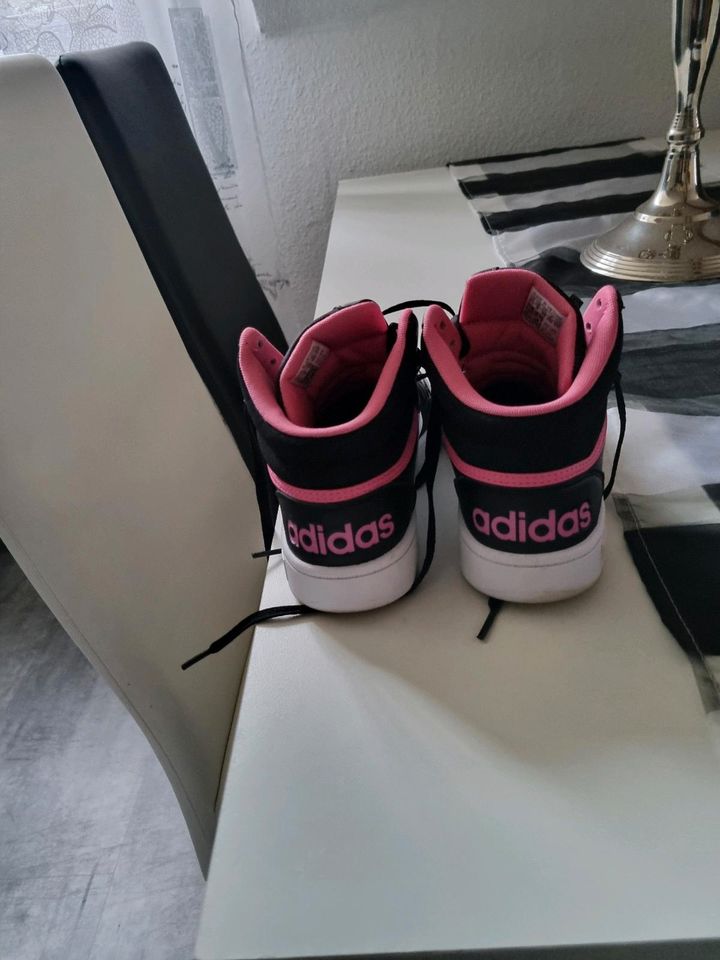 Adidas Größe 38 in Mülheim (Ruhr)