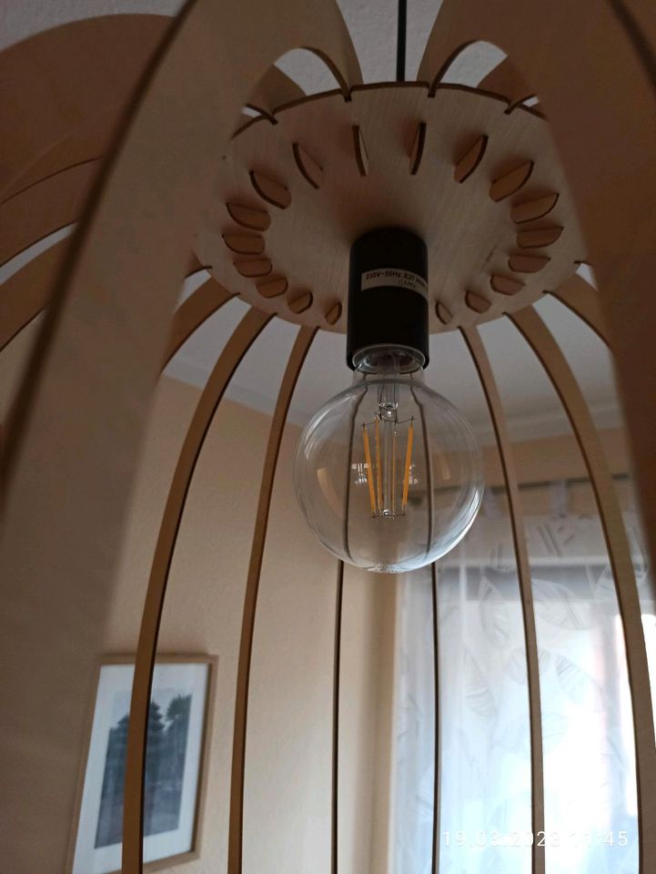 Hängelampe LED Hängeleuchte Lampe Leuchte in Eisenach