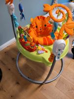 Fisher-Price Rainforest Jumperoo Brandenburg - Teltow Vorschau