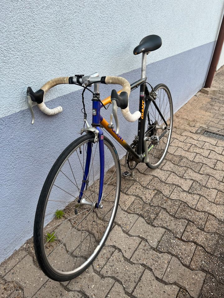 Rennrad 26 Zoll in Neulußheim