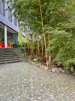 Gartenpflege - Zuverlässig und gründlich Bonn - Buschdorf Vorschau