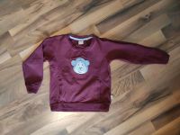 BellyButton Pulli Pullover Quietscht Affe Äffchen 104 Hessen - Lohfelden Vorschau