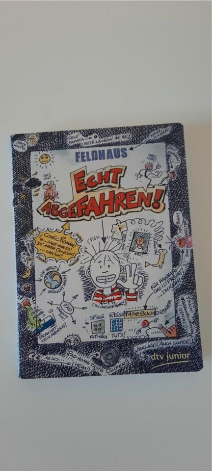 Buch Echt abgefahren! dtv junior Feldhaus Comic in Münchweiler an der Rodalb