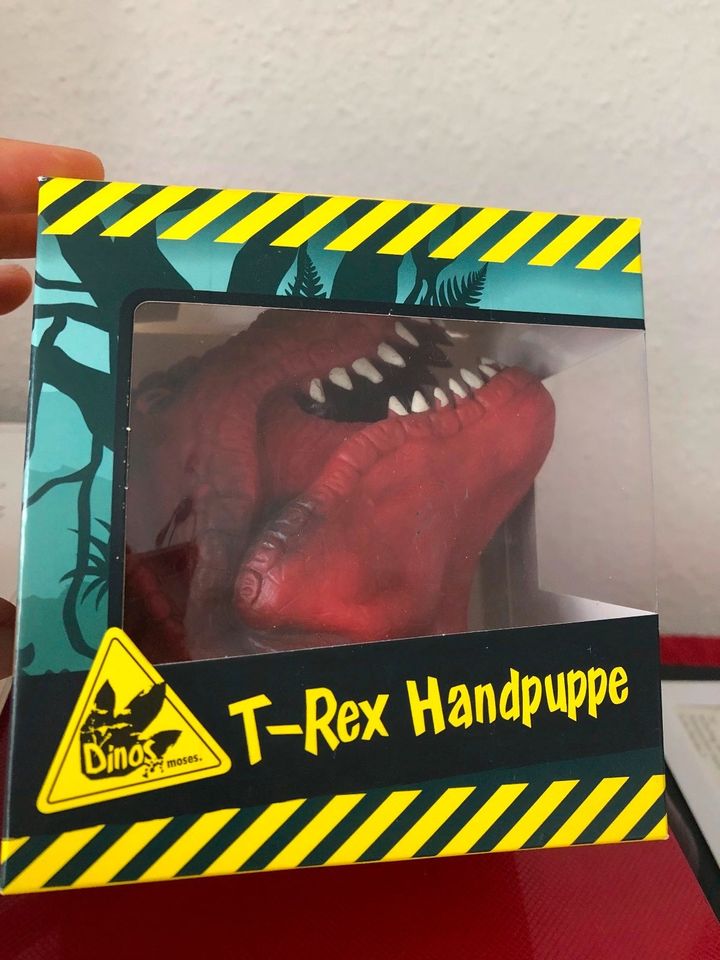 Zauberstifte Mäppchen Bücher Kreisel Auto T-Rex Handpuppe Stifte in Hannover