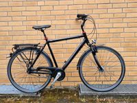 TOP Pegasus Solero Sl Trekkingrad 28 Zoll Niedersachsen - Bad Bevensen Vorschau