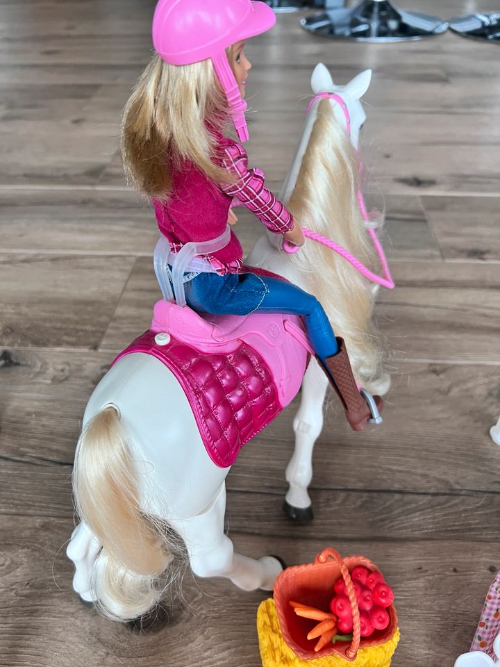 Mattel Barbie mit Chelsea und Traumpferd mit viel Zubehör in Merzig