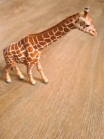 Schleich Giraffe Baden-Württemberg - Kornwestheim Vorschau