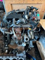 MOTOR  3.0 IVECO DAILY FIAT DUCATO BOXER JUMPER CANTER FUSO Bayern - Neu Ulm Vorschau