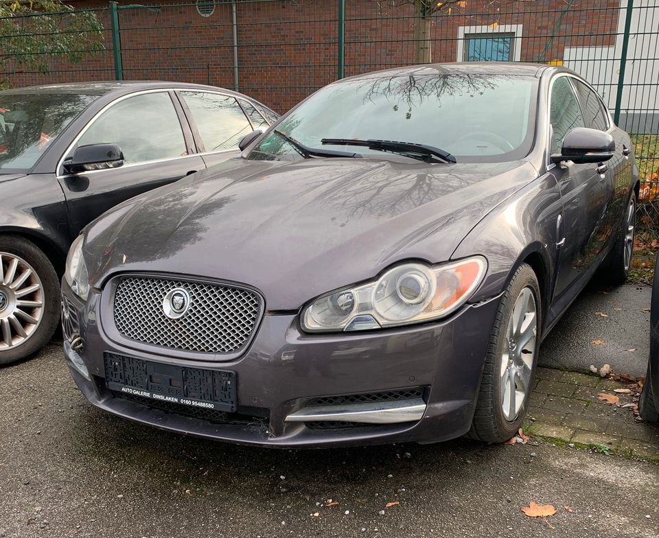 Jaguar XF 250 3.0 V6 Diesel Luxury,Leder,Navi,Alu in Essen