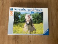 Ravensburger Puzzle Fjordpferd 500 Teile Friedrichshain-Kreuzberg - Kreuzberg Vorschau
