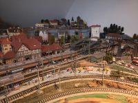 Abgebaute Modelleisenbahn-Landschaft, Loks, Wagons und Zubehör Herzogtum Lauenburg - Lauenburg Vorschau