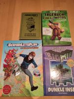 Minecraft, Fortnite und GLP Bücher Nordrhein-Westfalen - Lengerich Vorschau
