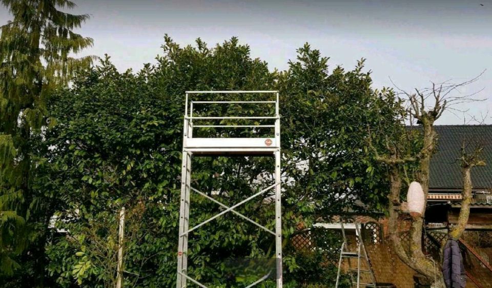 Gartenarbeit Gärtner Hecke schneiden Fläche  roden in Goch