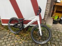 Trial Bike, Canyon Carbon, Fabio Wibmer Edition, fast neu Rheinland-Pfalz - Arzbach Vorschau