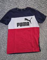 T- Shirts, Pullover Puma  Gr.M Brandenburg - Brandenburg an der Havel Vorschau