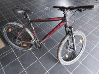 Fahrrad Mountainbike Ideal Zigzag 26" Gr. L 51cm Bayern - Zachenberg Vorschau