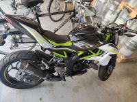 Kawasaki z 125 erst Zulassung 24.07 .2020 Bayern - Kelheim Vorschau