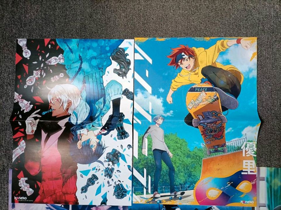 Verschiedene Anime Poster Aot Pokemon Demon Slayer Vanitas mha bl in Harsum